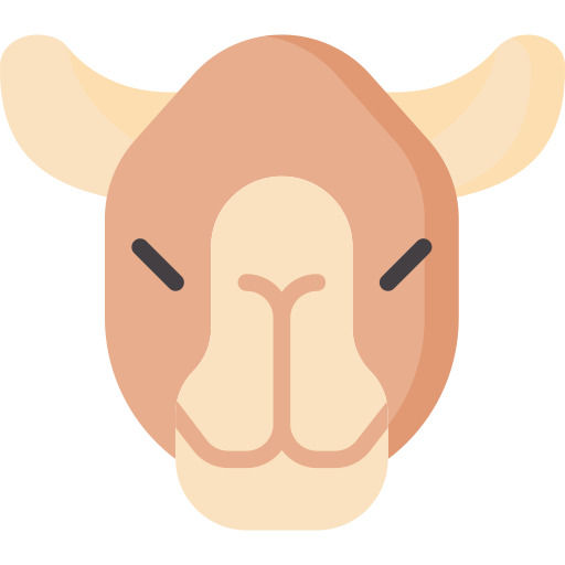 Camel Special Flat icon