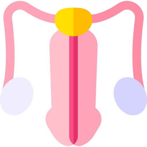 sistema reproductivo Basic Rounded Flat icono