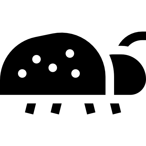 coccinella Basic Straight Filled icona