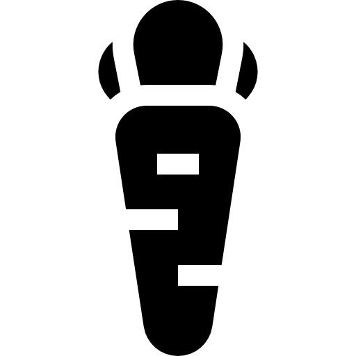 carota Basic Straight Filled icona