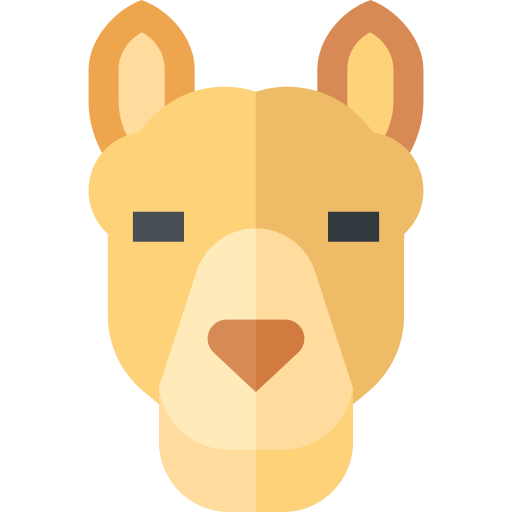 kameel Basic Straight Flat icoon