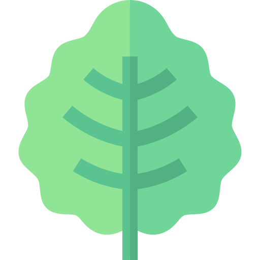 Tropical leaf Basic Straight Flat icon