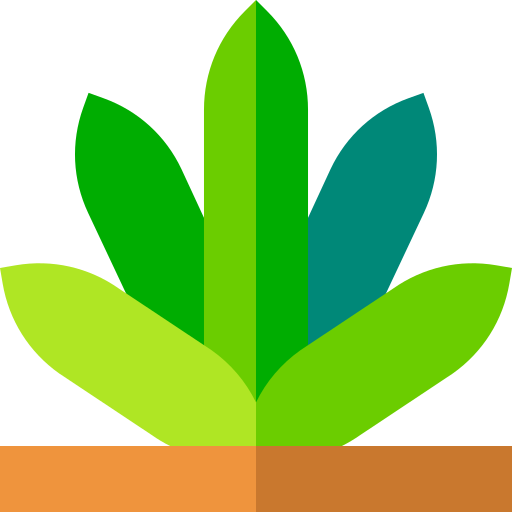 agave Basic Straight Flat icona