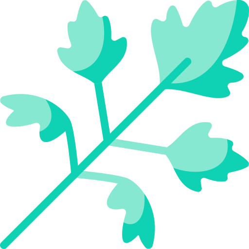 Parsley Special Flat icon