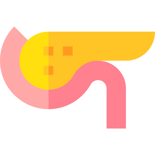 Pancreas Basic Straight Flat icon