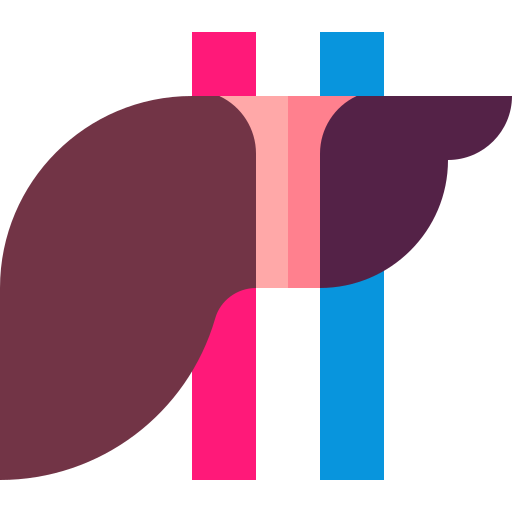 肝臓 Basic Straight Flat icon