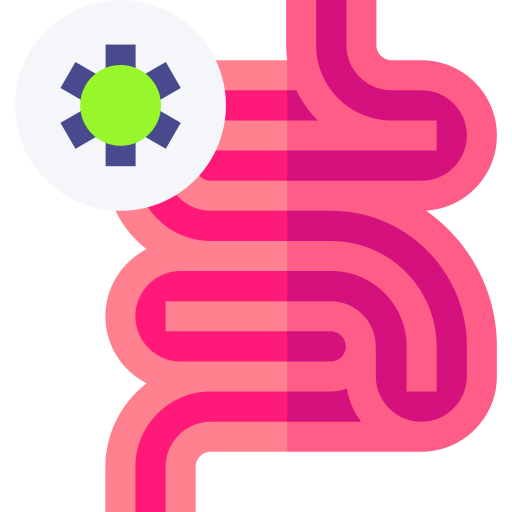 Intestine Basic Straight Flat icon