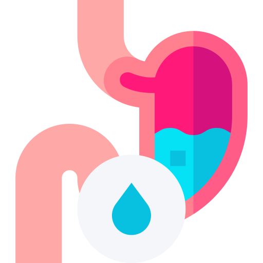 Stomach Basic Straight Flat icon