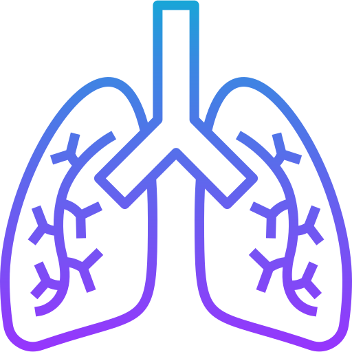 Lungs Generic gradient outline icon