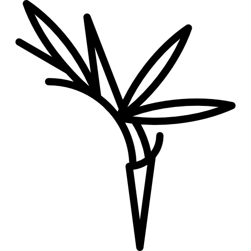 버드 오브 파라다이스 Special Lineal icon
