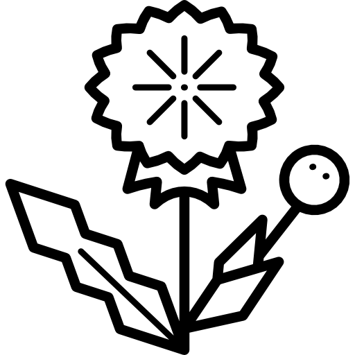 Dandelion Special Lineal icon