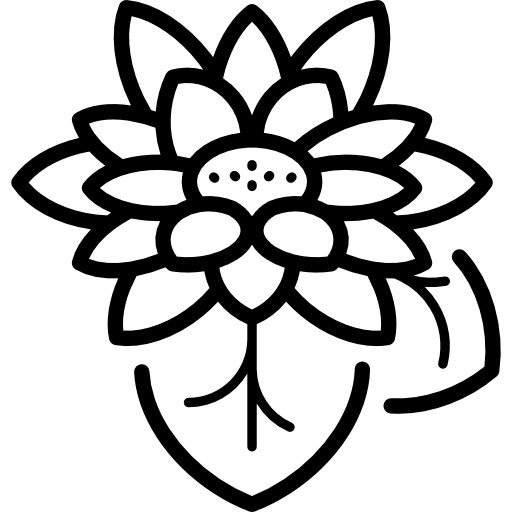 lotus Special Lineal Icône