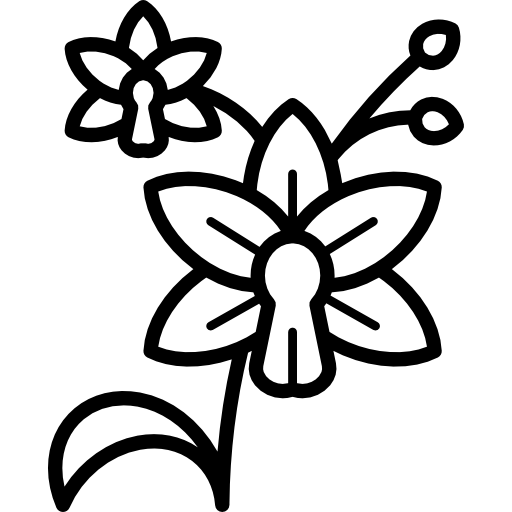 Орхидея Special Lineal иконка
