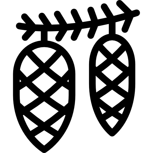 szyszki Special Lineal ikona
