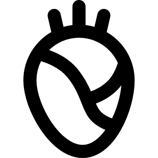 心臓 Basic Rounded Lineal icon