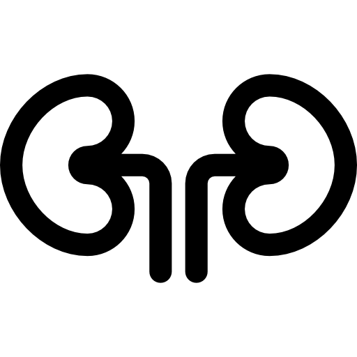 riñones Basic Rounded Lineal icono