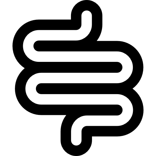 intestino Basic Rounded Lineal icono
