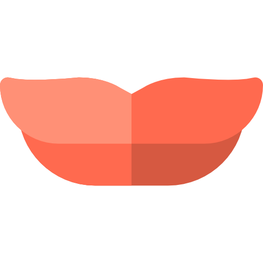 lippen Basic Rounded Flat icoon