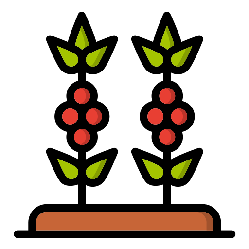 roślina kawy Generic color lineal-color ikona