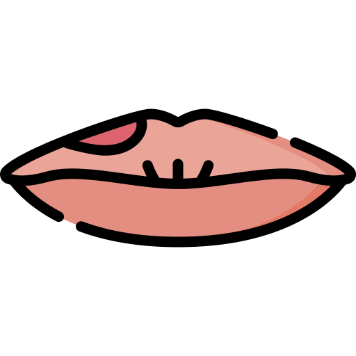 Lip Special Lineal color icon
