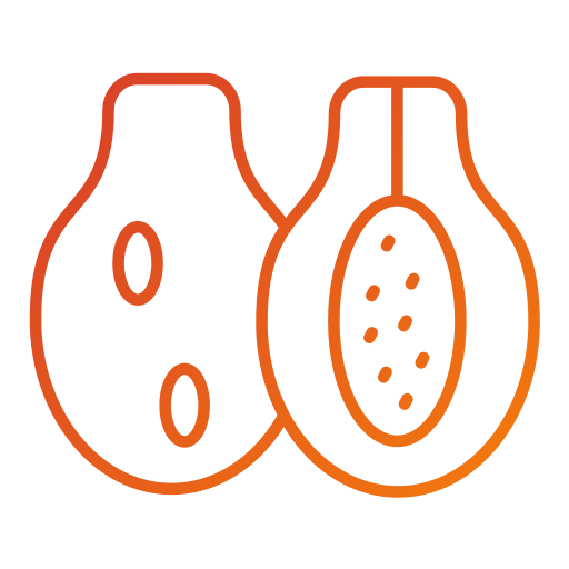 papaya Generic gradient outline icono