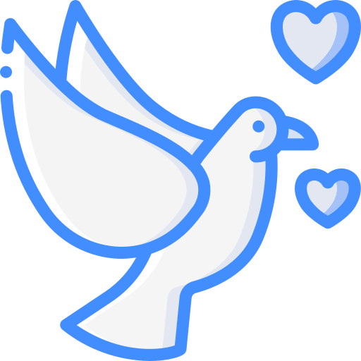 Dove Basic Miscellany Blue icon