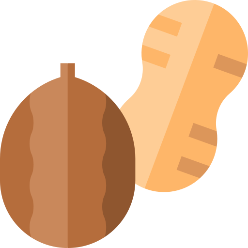 Nuts Basic Straight Flat icon