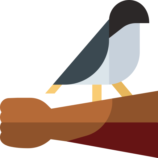 falconeria Basic Straight Flat icona