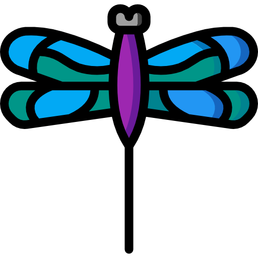 Dragon fly Basic Miscellany Lineal Color icon