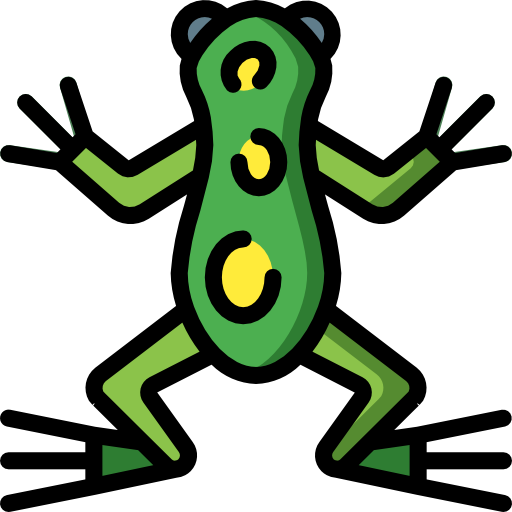 蛙 Basic Miscellany Lineal Color icon