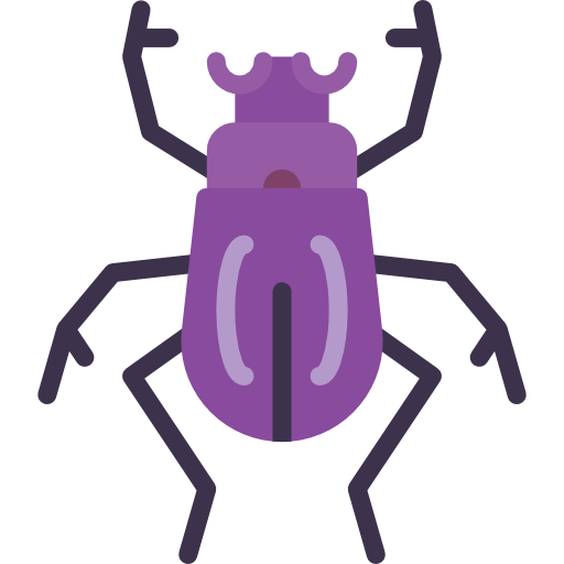 Beetle Basic Miscellany Flat icon