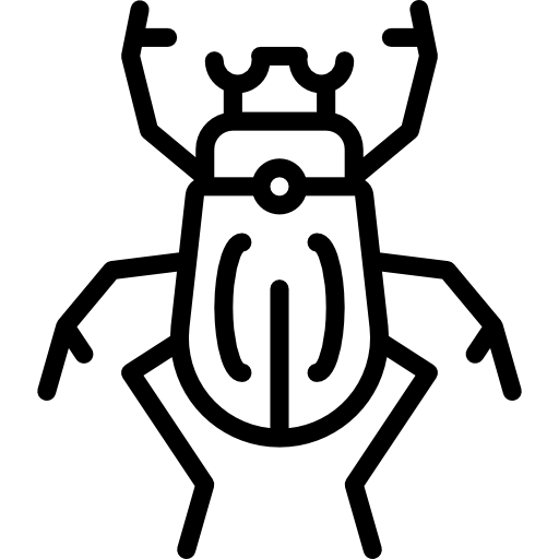 scarafaggio Basic Miscellany Lineal icona