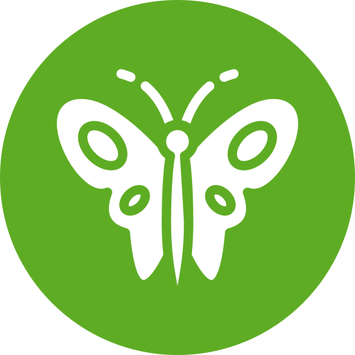 schmetterling Generic color fill icon