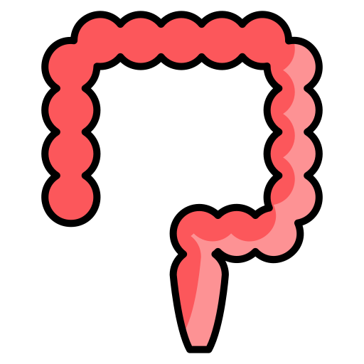 colon Generic color lineal-color icono