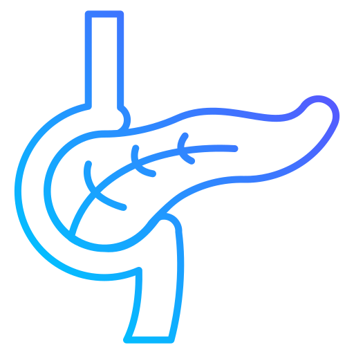 Pancreas Generic gradient outline icon