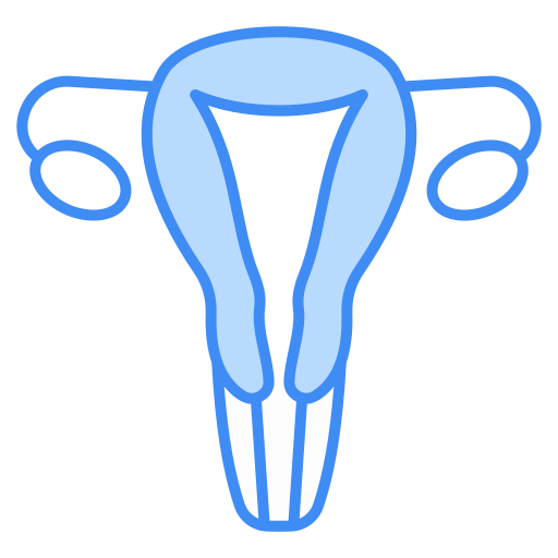 utérus Generic color lineal-color Icône
