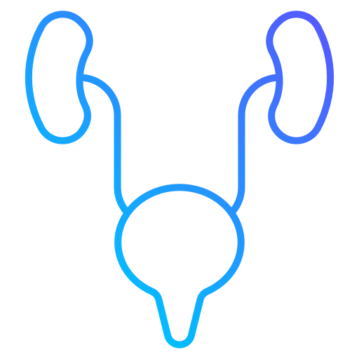 ureteres Generic gradient outline Ícone