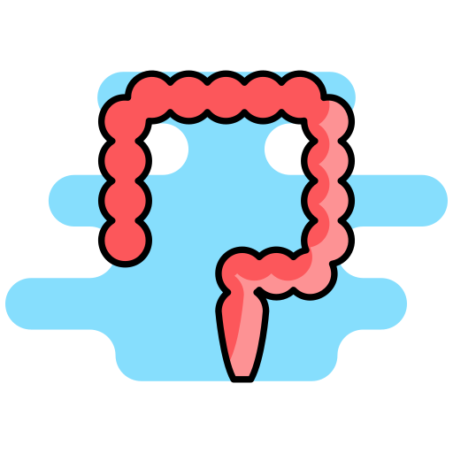 結腸 Generic color lineal-color icon