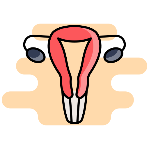 Uterus Generic color lineal-color icon