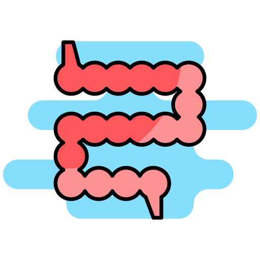 intestino tenue Generic color lineal-color icona