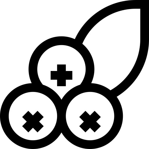 myrtilles Basic Straight Lineal Icône