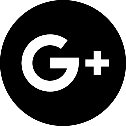 구글 플러스  icon