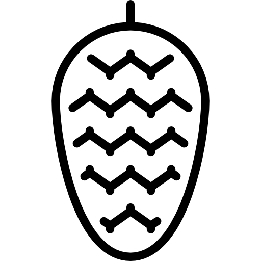 pigna Special Lineal icona