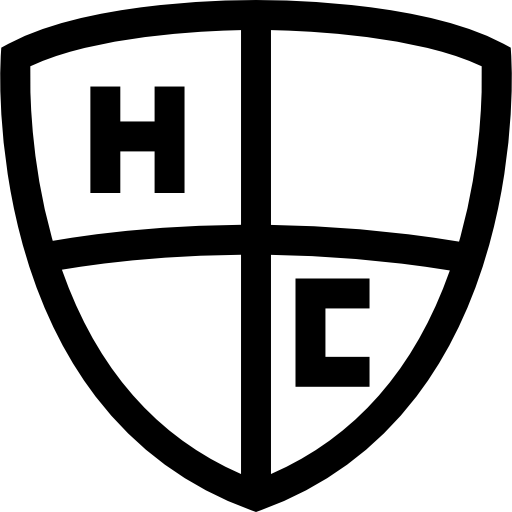 Emblem Basic Straight Lineal icon