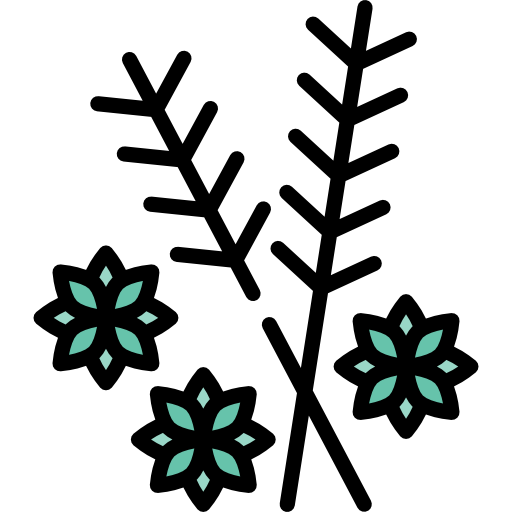 hierba Special Lineal color icono