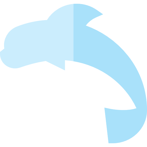 delfin Basic Straight Flat ikona