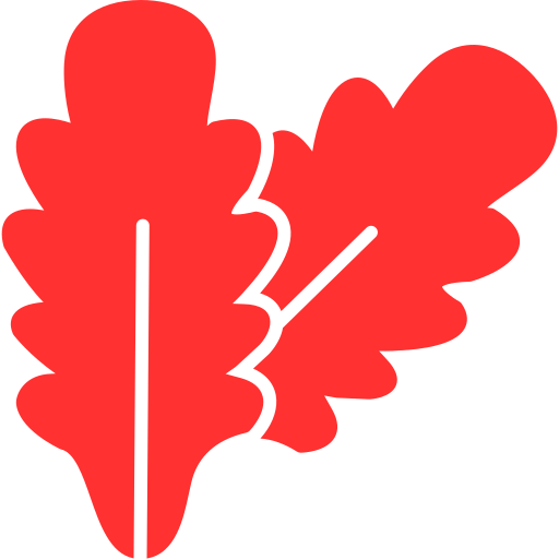 ルッコラ Generic color fill icon