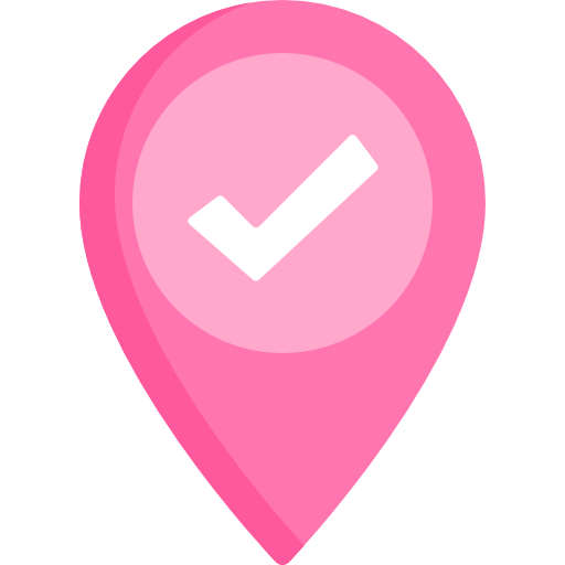 Check in Special Flat icon