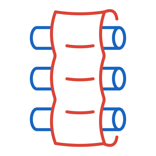 Ribs Generic color outline icon