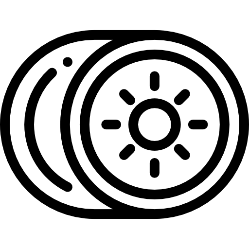 kiwi Detailed Rounded Lineal icono